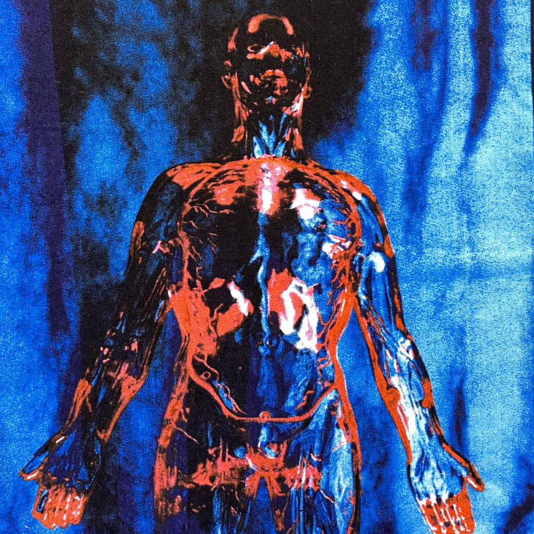 Nirvana « Sliver » 2006