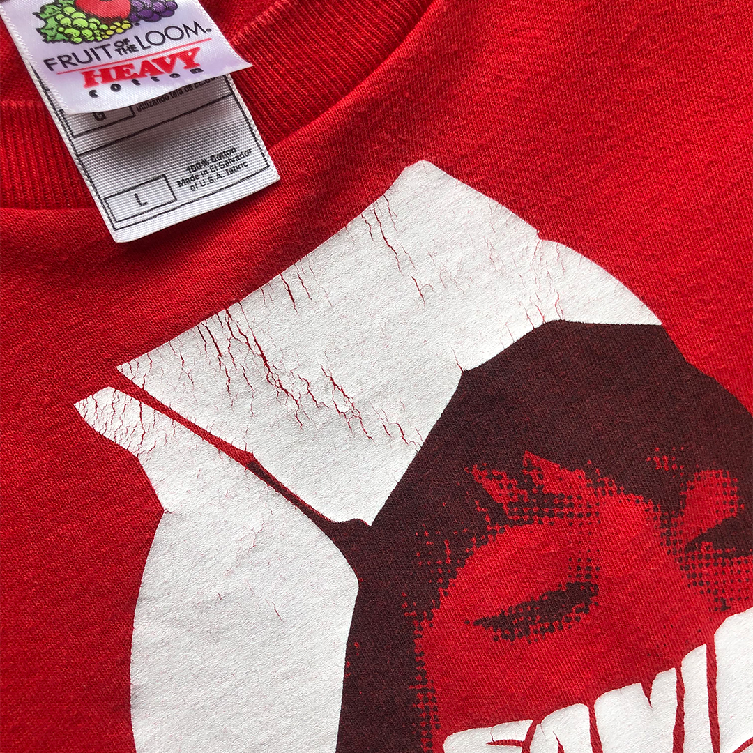 Sonic Youth "Sonic Nurse" EU Tour 2005